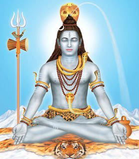 shiv